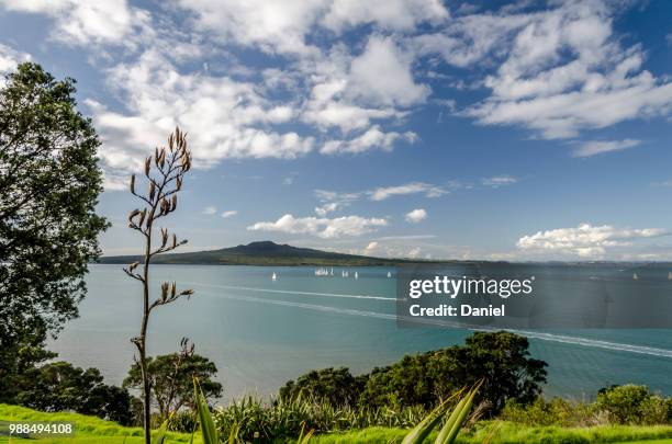 rangitoto - rangitoto stock pictures, royalty-free photos & images