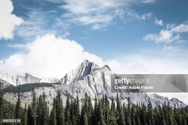 mountain peak in bow valley of banff national park, alberta, canada - adam bow stockfoto's en -beelden