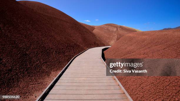 painted hills, oregon - fossil site stock pictures, royalty-free photos & images