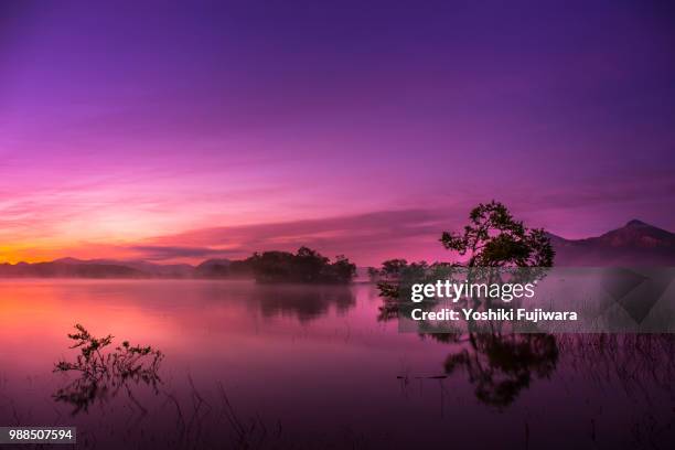 134 An Evening With Yoshiki Stock Photos, High-Res Pictures, and