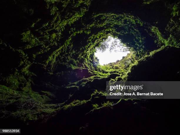 volcanic cavern, view from inside a large cave-shaped well in a humid forest. - luce alla fine del tunnel foto e immagini stock