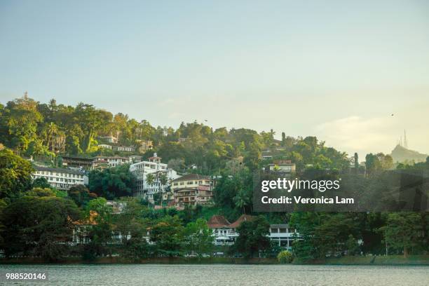 peaceful lakeside of kandy, sri lanka - kandy kandy district sri lanka fotografías e imágenes de stock