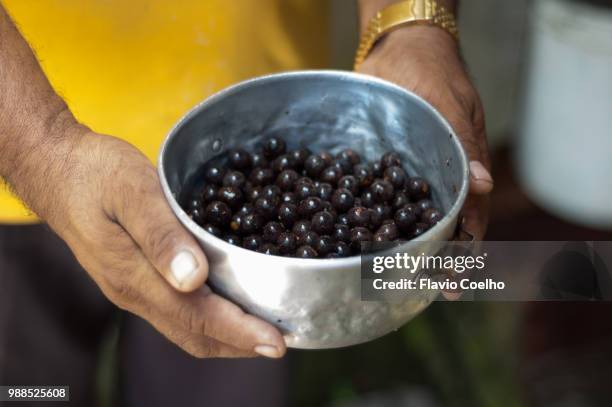 hands holding a tin with fresh açaí berries - flavio coelho stock pictures, royalty-free photos & images