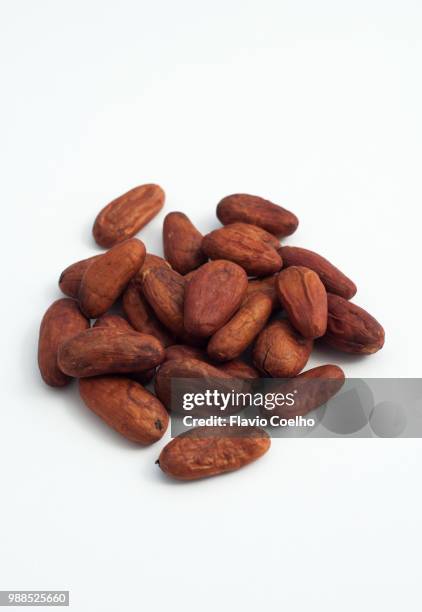 cocoa seeds on white background - polvo de cacao fotografías e imágenes de stock