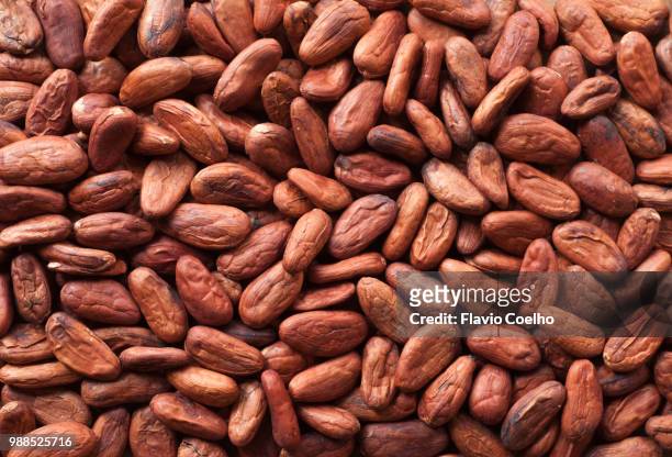 dried cocoa almonds filling the frame - theobroma stock pictures, royalty-free photos & images