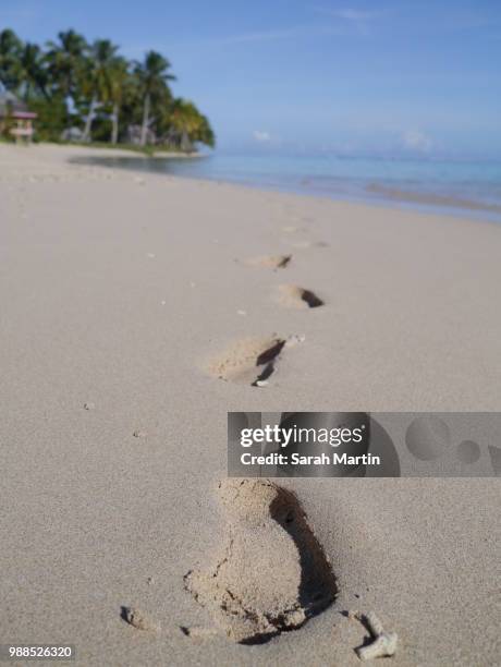 footprints - sarah sands stock pictures, royalty-free photos & images