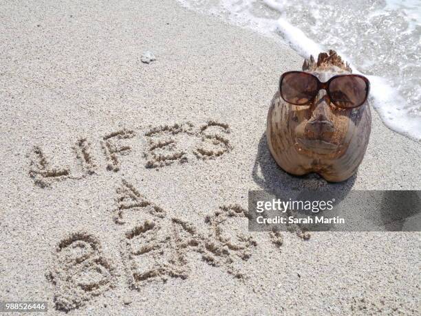 life's a beach - sarah sands stock pictures, royalty-free photos & images