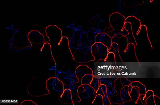 abstract_6.jpg - anatomy video stock pictures, royalty-free photos & images
