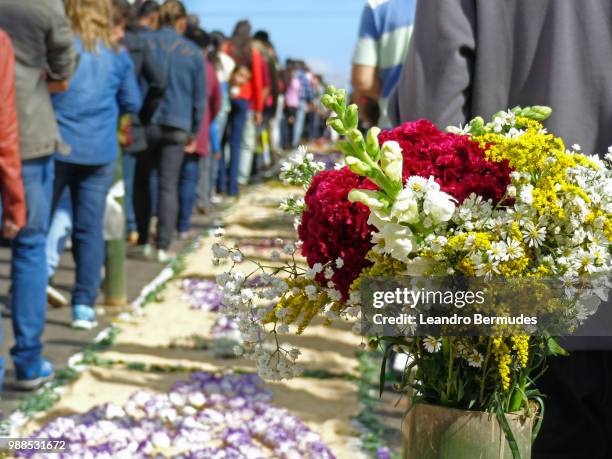 procession - leandro bermudes stock pictures, royalty-free photos & images