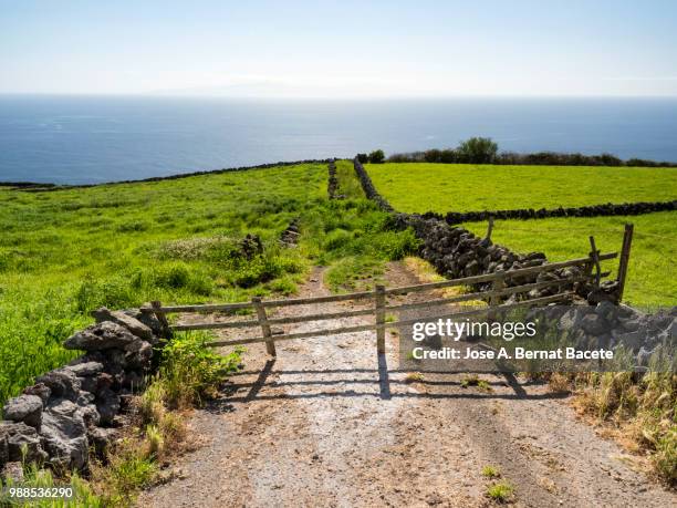 pastoral landscape, green fields and plows for cultivation separated by stone walls and dirt road cut by a fence of wood in terceira island in the azores islands, portugal. - gefreiter stock-fotos und bilder