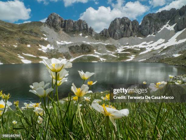 primavera en l'acherito - en casa stock pictures, royalty-free photos & images