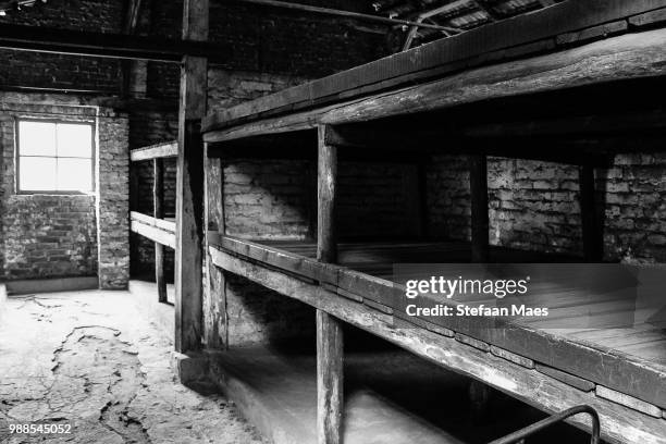 birkenau barrack - holocaust stockfoto's en -beelden