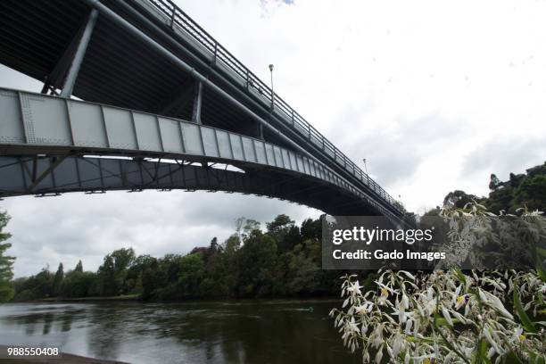 victoria bridge - hamilton nieuw zeeland stockfoto's en -beelden