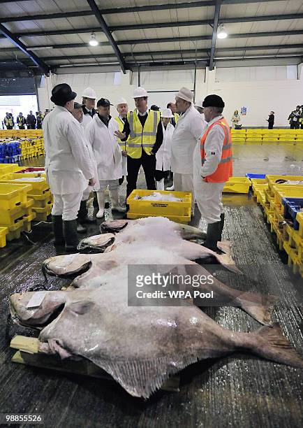 Conservative Party leader David Cameron pays a visit to Grimsby fish market, on May 5, 2010 in Grimsby, England. Today is the full last day of...