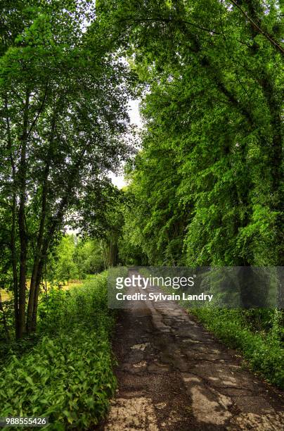 chemin des cavaliers rethel - chemin stock pictures, royalty-free photos & images