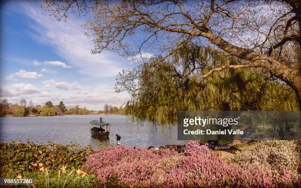 hever castle lake - hever castle stock pictures, royalty-free photos & images