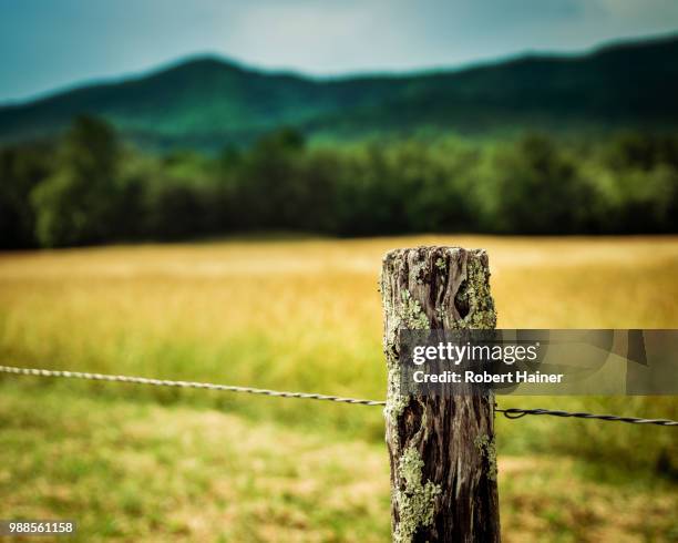 cade's cove, tennessee - cade stockfoto's en -beelden