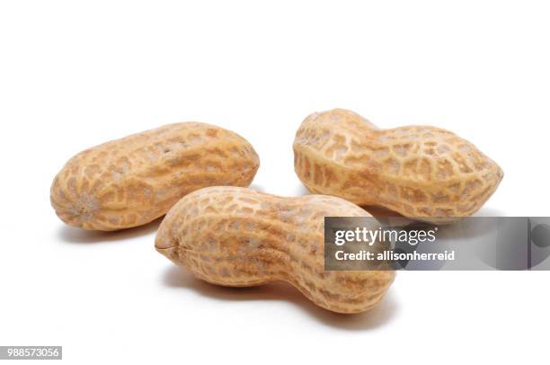 three peanuts - nutshell stock pictures, royalty-free photos & images