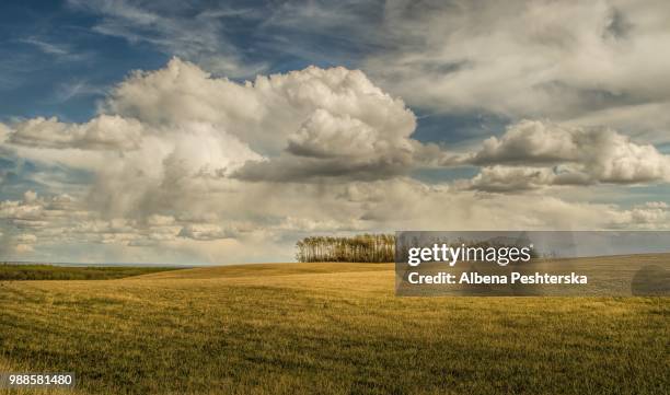 stormy sky - albena bildbanksfoton och bilder