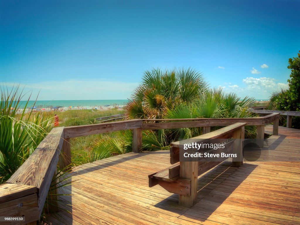 Bench With a Beach View