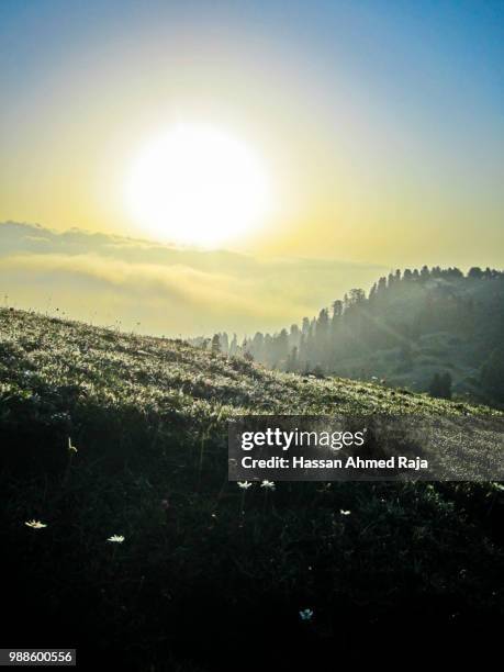 sunrise - ahmed hassan imagens e fotografias de stock