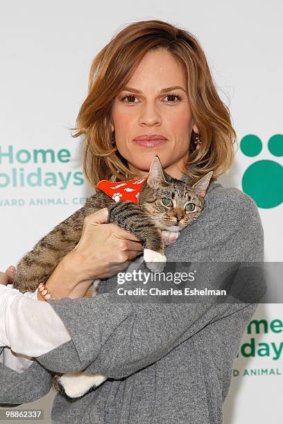 Academy Award winning actress Hilary Swank helps raise awareness with Iams Home 4 the Holidays for pet adoption at the Bideawee Animal Center on...