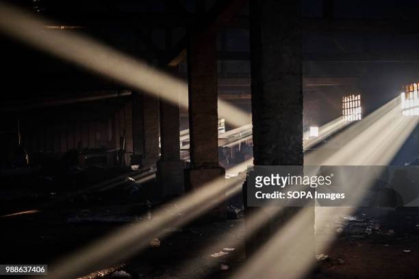 The afternoon Light shines into the Barracks. The Barracks in Belgrade were abandoned buildings behind the central train station where refugees and...