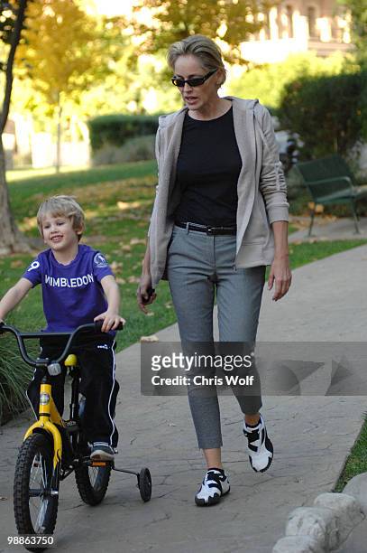 Actress Sharon Stone and son Laird Vonne Stone sighting on November 25, 2009 in Beverly Hills, California.