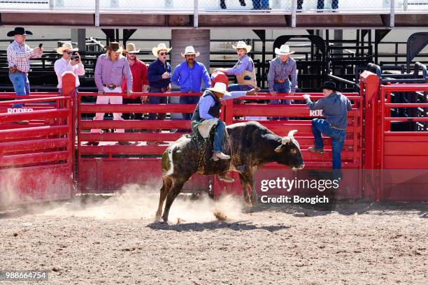 Bilac Rodeio 4,701 Black Rodeo Stock Photos, High-Res Pictures, and Images - Getty ...