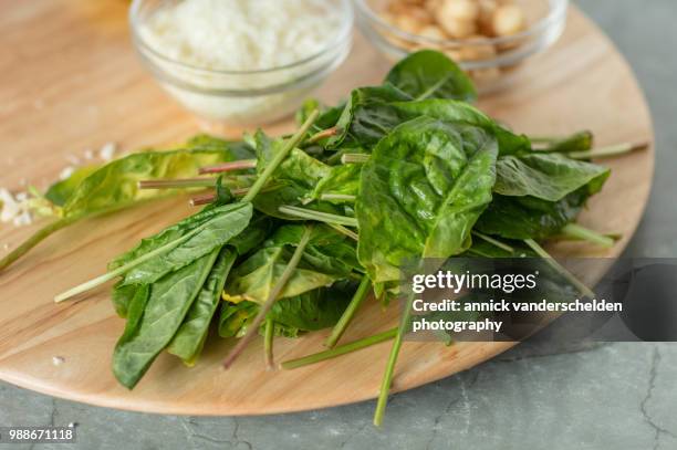 sorrel, pecorino romano and macadamia nuts. - sorrel stock pictures, royalty-free photos & images