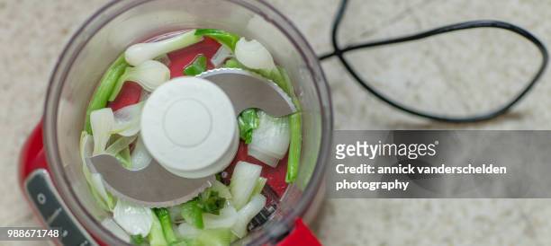 spring onion in food processor - food processor stock-fotos und bilder