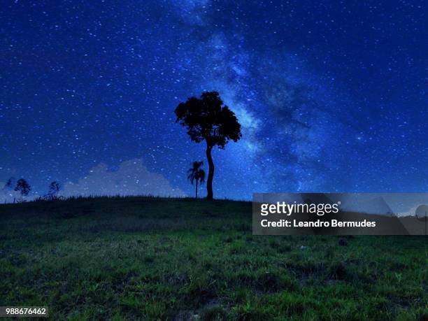 galactic tree - leandro bermudes stock pictures, royalty-free photos & images