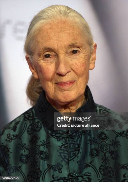 British primatologist Jane Goodall arrives at the Deutscher Nachhaltigkeitspreis event in Duesseldorf, Germany, 8 December 2017. Photo: Henning...