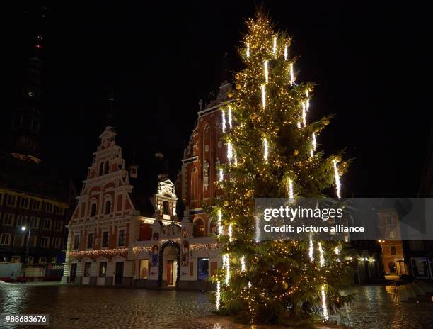 Spectators gate at the different Christmas tree variations and sculptures in Riga, Latvia, 8 December 2017. The "road of Christmas Trees" is set up...