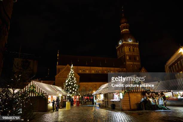 Spectators gate at the different Christmas tree variations and sculptures in Riga, Latvia, 8 December 2017. The "road of Christmas Trees" is set up...