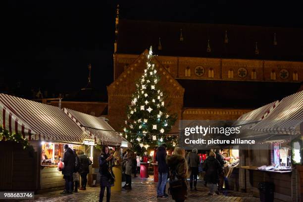 Spectators gate at the different Christmas tree variations and sculptures in Riga, Latvia, 8 December 2017. The "road of Christmas Trees" is set up...