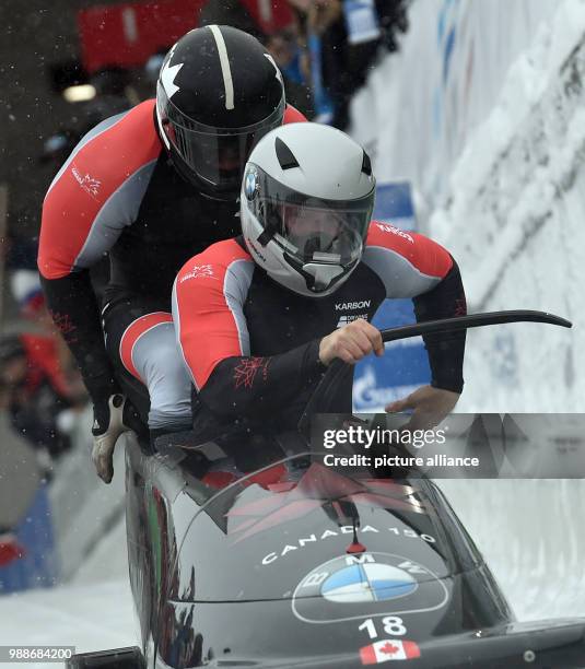 Canadian bobsleigh athletes Nick Poloniato and Lascelles Brown in action during the men's two person bob event at the BMW IBSF World Cup in...