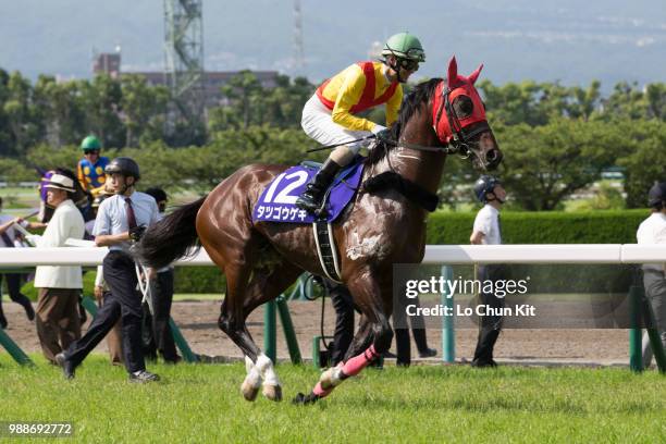 Jockey Shinichiro Akiyama riding Tatsu Gogeki during the Takarazuka Kinen at Hanshin Racecourse on June 24, 2018 in Takarazuka, Japan.