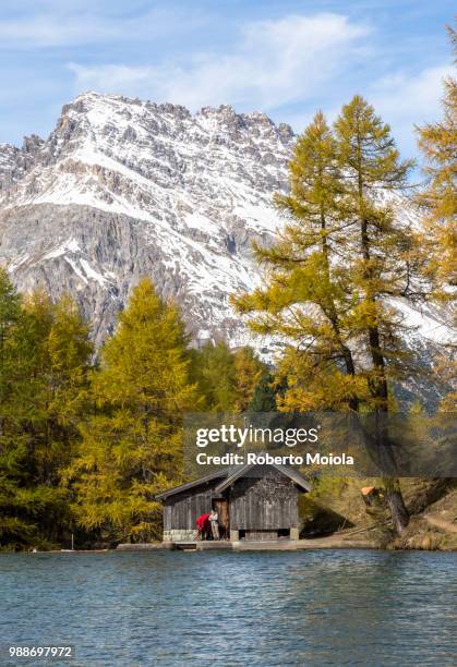 wood hut on the shore of lai da palpuogna (palpuognasee), bergun, albula pass, canton of graubunden (grisons), switzerland, europe - graubunden canton fotografías e imágenes de stock