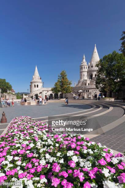 fisherman's bastion, buda castle hill, budapest, hungary, europe - fishermen's bastion stock pictures, royalty-free photos & images