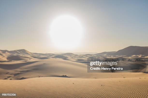 sunset in sahara - sahara snow stock-fotos und bilder