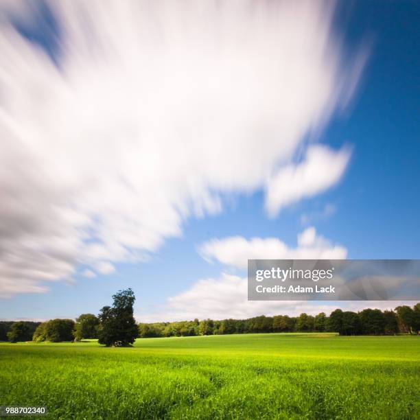 Horizon Line With Tree Example 134,886 Horizon Line Trees Stock Photos, High-Res Pictures, and Images ...