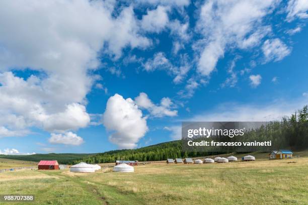 tourist ger camp, burentogtokh district, hovsgol province, mongolia, central asia, asia - saia midi stock-fotos und bilder