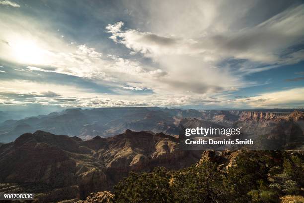 the grand canyon - dominic smith bildbanksfoton och bilder