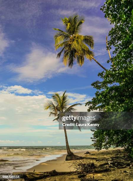 costa rican paradise - kenny arena fotografías e imágenes de stock