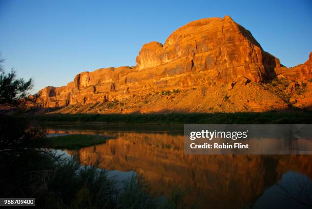 271 Robin Roche Stock Photos, High-Res Pictures, and Images - Getty Images