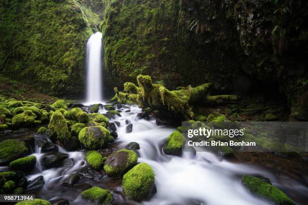 mossy grotto - bonham stock pictures, royalty-free photos & images