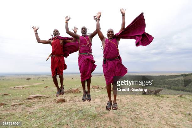 masai warriors doing the traditional jump dance, masai mara game reserve, kenya, east africa, africa - tribu de áfrica oriental fotografías e imágenes de stock