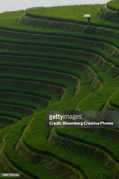 longji rice terraces - longsheng stock-fotos und bilder