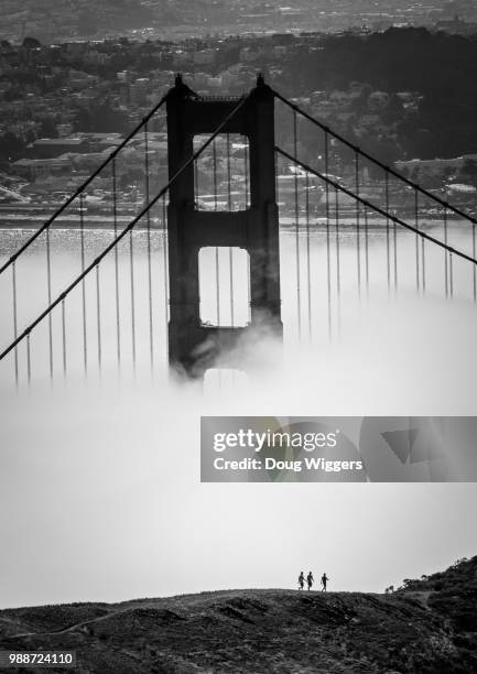 a walk towards the bridge - wiggers stock pictures, royalty-free photos & images